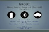 GROBI Gizmo Remote Operated Bluetooth Interface Sponsor: Calit 2 Mentors: Paul Blair & Javier Rodriguez Molina Team: Kristi Tsukida & Eldridge Alcantara.