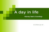 A day in life -Honey bees travelog- 4-1 Kim so mi.
