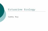 Estuarine Ecology Sammy Ray. Value of Estuaries Value of Gulf of Mexico Fisheries.