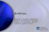 Anthrax Malignant Pustule, Malignant Edema, Woolsorters Disease, Ragpickers Disease, Maladi Charbon, Splenic Fever.