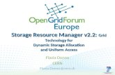 Storage Resource Manager v2.2: Grid Technology for Dynamic Storage Allocation and Uniform Access Flavia Donno CERN Flavia.Donno@cern.ch.
