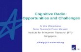 Cognitive Radio: Opportunities and Challenges Dr Ying-Chang Liang Senior Scientist & Project Manager Institute for Infocomm Research (I 2 R) Singapore.