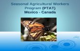 (PTAT) Mexico - Canada Seasonal Agricultural Workers Program (PTAT) Mexico - Canada.
