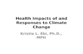 Health Impacts of and Responses to Climate Change Kristie L. Ebi, Ph.D., MPH.