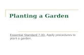 Planting a Garden Essential Standard 7.00- Apply procedures to plant a garden.