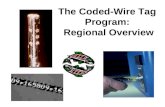 The Coded-Wire Tag Program: Regional Overview. Coded Wire Tags: Tiny Tool for Stock Identification –Stainless steel micro-tag –Introduced in late 1960s.