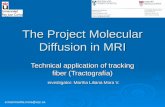 The Project Molecular Diffusion in MRI Technical application of tracking fiber (Tractografía) investigator: Martha Liliana Mora V. investigator: Martha.