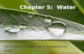 Powerpoint TemplatesPage 1Powerpoint Templates Chapter 5: Water All is born of water, all is sustained by water. Johann Wolfgang von Goethe German Poet.