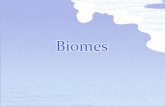 Scientists group ecosystems into larger areas called biomes. Biome: a large region characterized by a specific type of climate and certain types of plants.