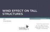 Wind Effect on Tall Structures