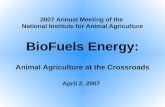 2007 Annual Meeting of the National Institute for Animal Agriculture BioFuels Energy: Animal Agriculture at the Crossroads April 2, 2007.