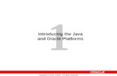 1 Copyright © 2005, Oracle. All rights reserved. Introducing the Java and Oracle Platforms.