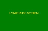 LYMPHATIC SYSTEM. LYMPHATIC SYSTEM IS LYMPH LYMPH VESSELS LYMPH NODES LYMPH TISSUE.