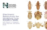 Electronic Resources for Studying Lice Vincent S. Smith with Robert C. Dalgleish, Simon Rycroft, and David Reed.