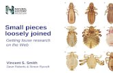 Vincent S. Smith Dave Roberts & Simon Rycroft Small pieces loosely joined Getting louse research on the Web.