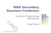 RNA Secondary Structure Prediction Dynamic Programming Approaches Sarah Aerni