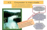 4.5 Greywater is man-made – an untapped water and nutrient resource constructed wetland, gardening, wastewater pond, biol. treatment, membrane- technology.