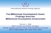 International Atomic Energy Agency The Millennium Development Goals: Findings from the Millennium Ecosystems Assessment Ferenc L. Toth IAEA, Austria and.