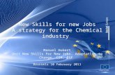 New Skills for new Jobs A strategy for the Chemical industry Manuel Hubert Unit New Skills for New Jobs, Adaptation to Change, CSR, EGF Brussels 10 February.