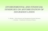 ENVIRONMENTAL AND FINANCIAL SYNERGIES ON AFFORESTATION OF DEGRADED LANDS V. Blujdea – Forest Research and Management Institute Bucharest I. Abrudan – Transilvania.