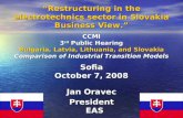 Restructuring in the electrotechnics sector in Slovakia Business View. CCMI 3 rd Public Hearing Bulgaria, Latvia, Lithuania, and Slovakia Comparison of.
