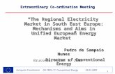 1 European Commission DG TREN / C: Conventional Energy 05.03.2002 The Regional Electricity Market in South East Europe: Mechanisms and Aims in Unified.