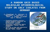 A RANDOM GRID BASED MOLECULAR EPIDEMIOLOGICAL STUDY ON EBLV ISOLATES FROM GERMANY C. Freuling 1, N. Johnson 2, D. Marston 2, T. Selhorst 1, L. Geue 1,
