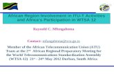 1 African Region Involvement in ITU-T Activities and Africas Participation in WTSA 12 Raynold C. Mfungahema Contact: mfungahema@tcra.go.tzmfungahema@tcra.go.tz.