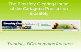 The Biosafety Clearing-House of the Cartagena Protocol on Biosafety Tutorial – BCH common features.