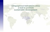 Geographical Indications (GIs): a tool to promote sustainable development Massimo Vittori Secretary General, oriGIn.