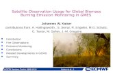 IACETH Seminar, Zurich, 2006-09-15 Kaiser et al., 1 Satellite Observation Usage for Global Biomass Burning Emission Monitoring in GMES Johannes W. Kaiser.