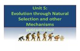 Natural Selection Natural selection is the process by which those heritable traits that make it more likely for an organism to survive and successfully.