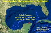 Sustainable Management of Sediment Rafael Calderon Gulf of Mexico Program The Nature Conservancy USACOE-TNC New Orleans, LA. October, 2009.