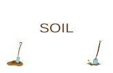 SOIL Soil provides support and nutrients for plant growth.