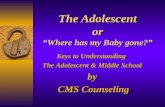 The Adolescent or Where has my Baby gone? Keys to Understanding The Adolescent & Middle School by CMS Counseling CMS Counseling.