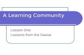 A Learning Community Lesson One Lessons from the Geese