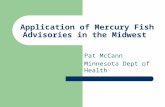 Application of Mercury Fish Advisories in the Midwest Pat McCann Minnesota Dept of Health.