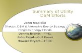 Summary of Utility DSM Efforts John Masiello Director, DSM & Alternative Energy Strategy Progress Energy Florida Dennis BrandtFP&L John FloydGulf Power.