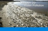 Chapter 20 Water Pollution. Chapter Overview Questions What pollutes water, where do these pollutants come from, and what effects do they have? What pollutes.