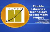 Florida Libraries Technology Assessment Project Melinda Crowley Maureen Githens Hayes e-Government Resources.