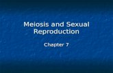 Meiosis and Sexual Reproduction Chapter 7. 7.1 Meiosis In some organisms haploid gametes join to form a diploid zygote In some organisms haploid gametes.