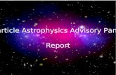 Report from the Particle Astrophysics Advisory Panel Particle Astrophysics Advisory Panel Report.