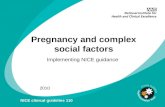 Pregnancy and complex social factors Implementing NICE guidance 2010 NICE clinical guideline 110.
