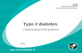 Type 2 diabetes Implementing NICE guidance 2009 NICE clinical guideline 87.