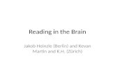 Reading in the Brain Jakob Heinzle (Berlin) and Kevan Martin and K.H. (Zürich)