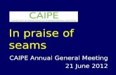 In praise of seams CAIPE Annual General Meeting 21 June 2012.