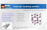 Molecular modeling activities Caterina Arcangeli UTTMAT-DIAG Francesco Buonocore UTTMAT-SUP Massimo Celino UTTMAT-DIAG Roberto Grena UTTRIN-PCI Simone.