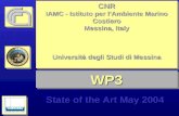 WP3WP3 State of the Art May 2004 CNR IAMC - Istituto per lAmbiente Marino Costiero Messina, Italy Università degli Studi di Messina CNR IAMC - Istituto.