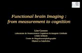 Functional brain Imaging : from measurement to cognition Line Garnero Laboratoire de Neurosciences Cognitives & Imagerie Cérébrale CNRS UPR640 Centre de.