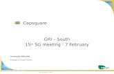 Capsquare GRI – South 15 th SG meeting - 7 February Christophe POILLION Strategy & Europe Division GRI S - 15th SG meeting - 7 February1.
